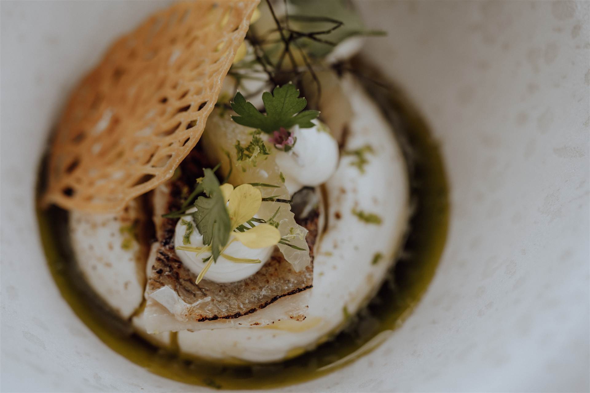 Plated dish